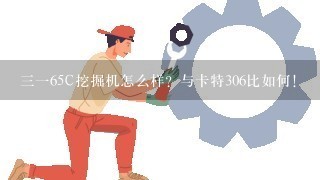 三一65C挖掘机怎么样？与卡特306比如何！