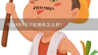 斗山80GOLD挖掘机怎么样？