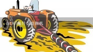 cat307是什么挖掘机