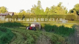 建宇(上海)石油科技有限公司怎么样？