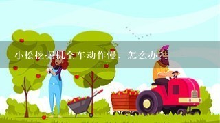 小松挖掘机全车动作慢，怎么办？