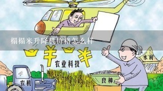 榻榻米升降机价格怎么样