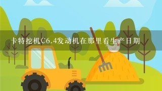 卡特挖机C<br/>6、4发动机在那里看生产日期