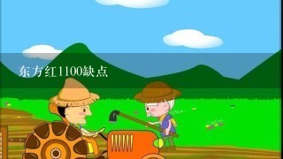 东方红1100缺点