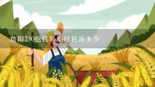 詹阳230挖机每小时耗油多少