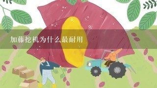 加藤挖机为什么最耐用