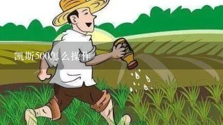 凯斯500怎么操作