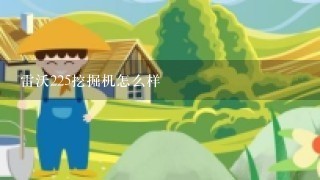 雷沃225挖掘机怎么样