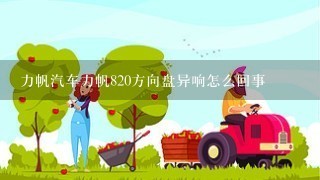 力帆汽车力帆820方向盘异响怎么回事