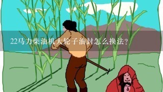 22马力柴油机大轮子油封怎么换法？