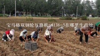 宝马格双钢轮压路机ad138-5在哪里生产地