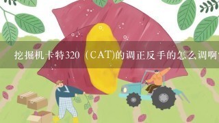 挖掘机卡特320（CAT)的调正反手的怎么调啊？