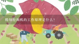 腾翔挖掘机的工作原理是什么?